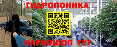 a pvp Дубна
